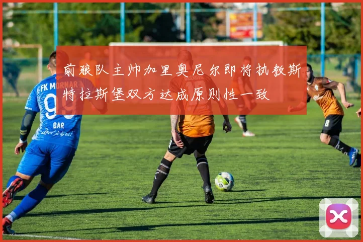 前狼队主帅加里奥尼尔即将执教斯特拉斯堡双方达成原则性一致